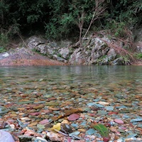Booloumba Creek