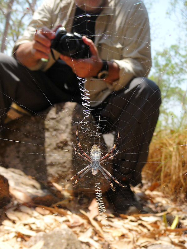  Bruce photographs spider at the Lost City, Litchfield National Park, NT