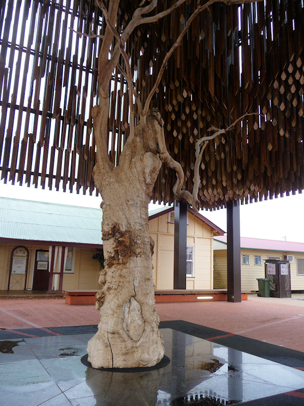  Tree of Knowledge Memorial at Barcaldine