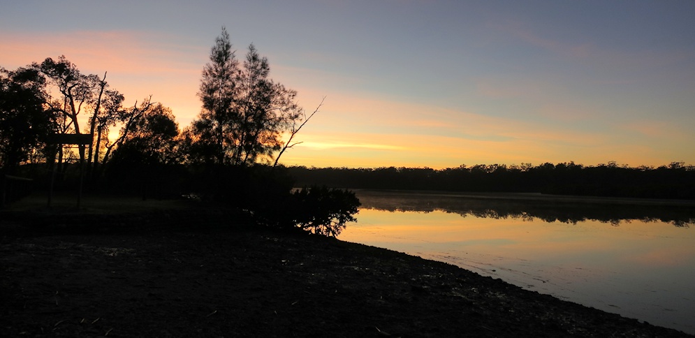  Sunrise at Kauri Creek